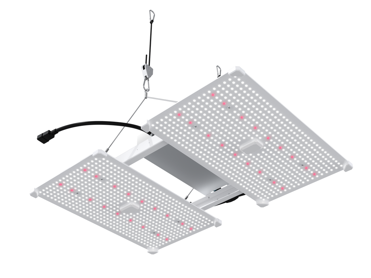 Best LED Grow Lights for Indoor Growers – Crecer Lighting